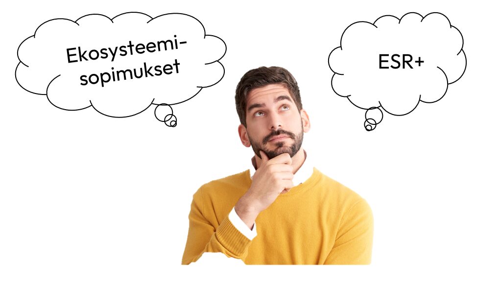kuvituskuva ekosysteemisopimuksista ja esr+:sta miettivästä hahmosta